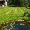 La Ferme Alpine Cali – CBD local Haute-Savoie