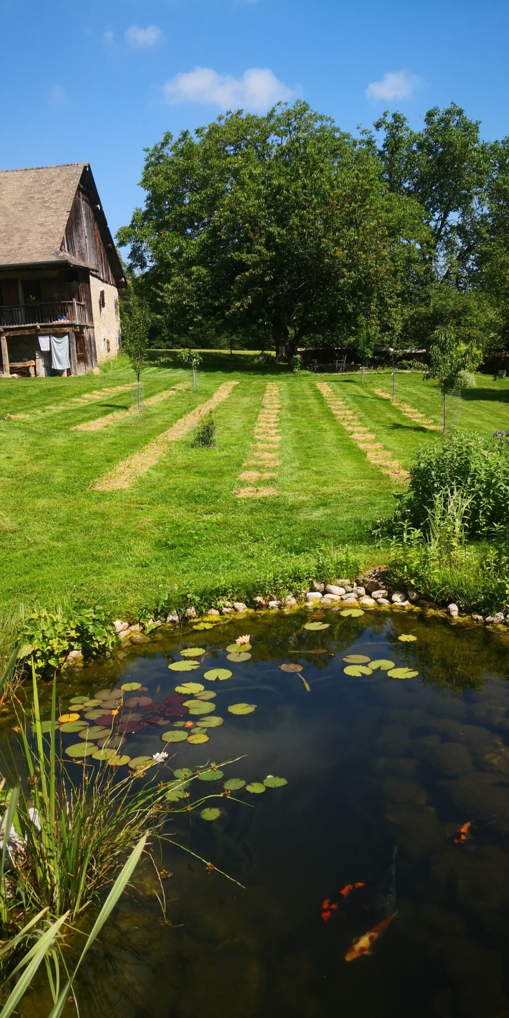 La Ferme Alpine Cali – CBD local Haute-Savoie