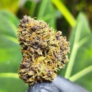 Lemon fleur de CDB Haute Savoie - Alpine Cali