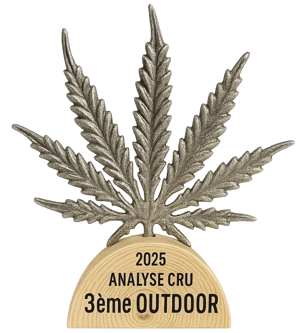trophee_cbd_2025_transparent_final